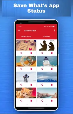 Status Save android App screenshot 4